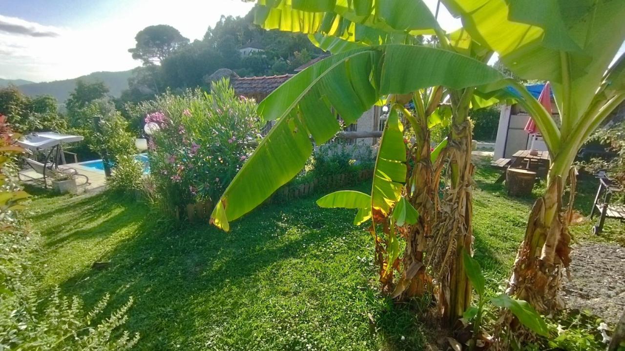 Alojamento De Crasto - 吉尔斯 外观 照片